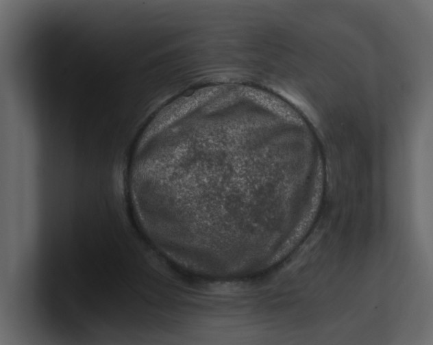 X0000100900105200807151126