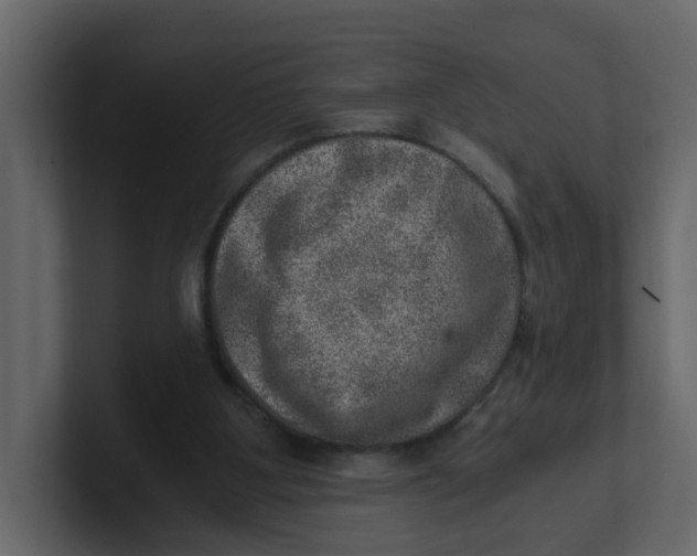 X0000100900107200807151126