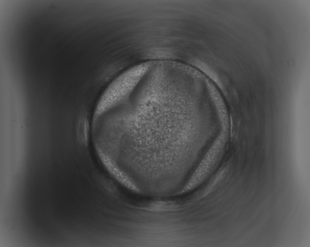 X0000100900109200807151126