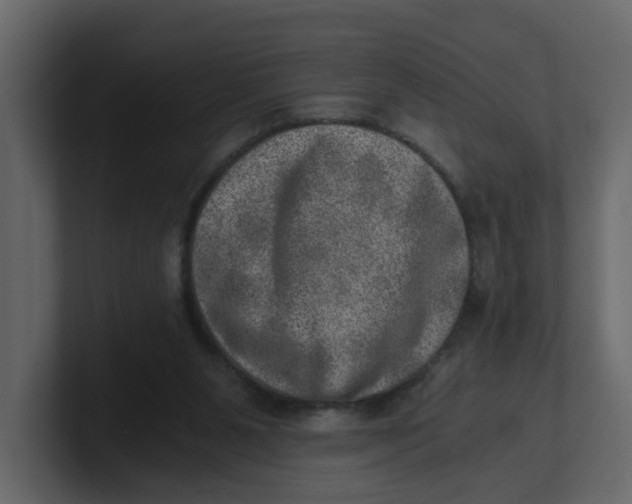 X0000100900111200807151126