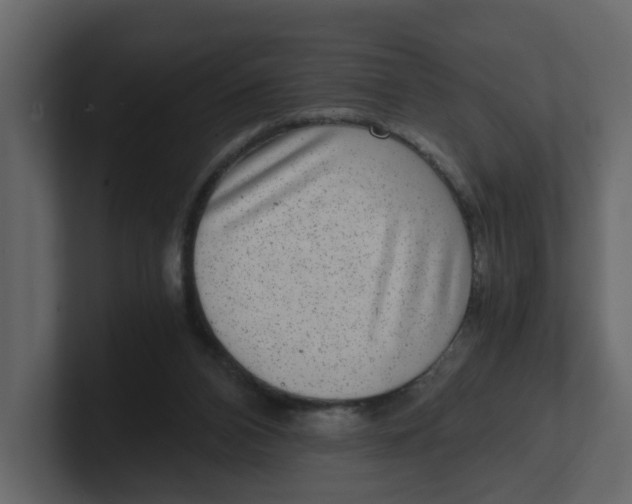 X0000100900112200807151126