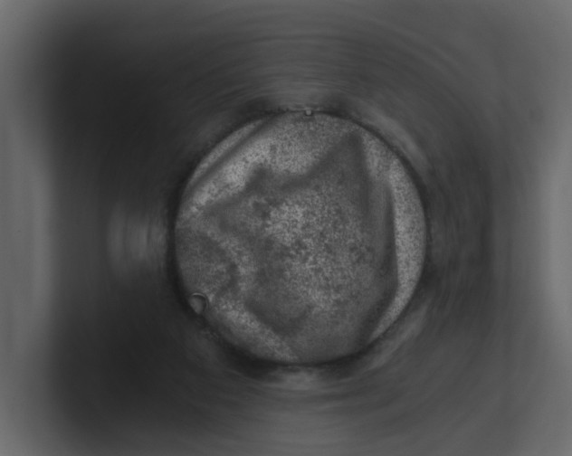 X0000100900113200807151126