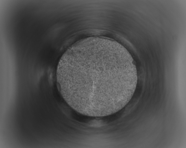 X0000100900119200807151126