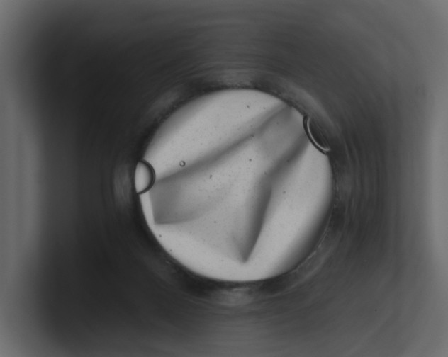 X0000100900120200807151126