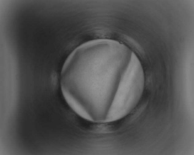 X0000100900121200807151126