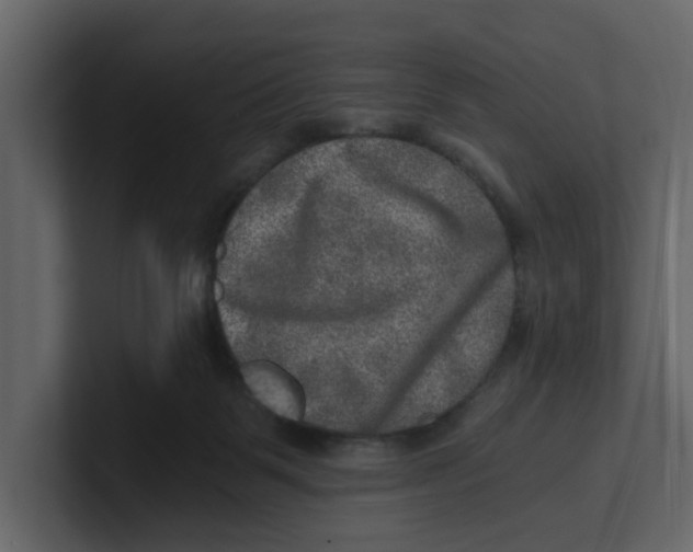 X0000100900123200807151126