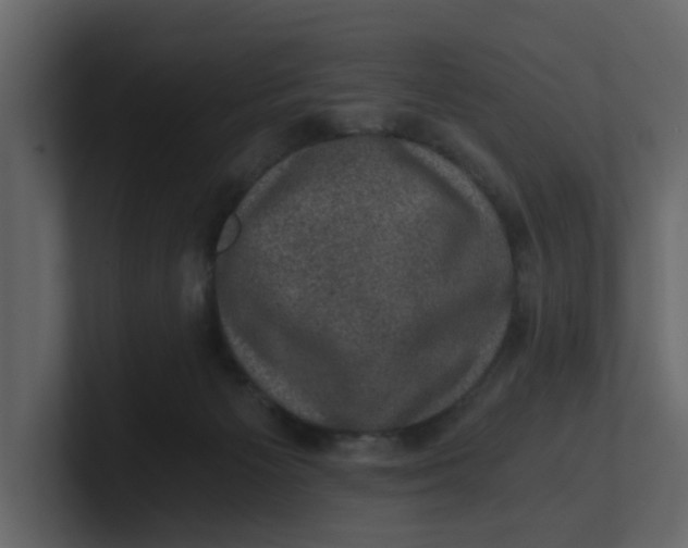 X0000100900125200807151126