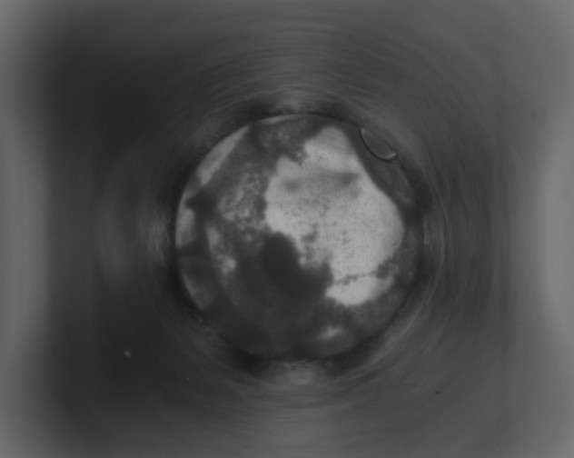 X0000100900127200807151126