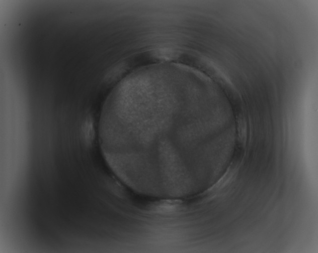 X0000100900128200807151126