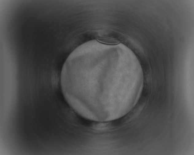 X0000100900129200807151126