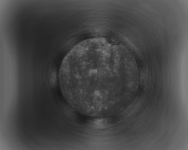 X0000100900130200807151126