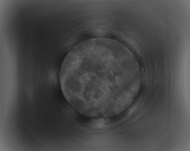 X0000100900131200807151125