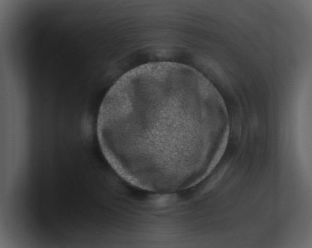 X0000100900135200807151125