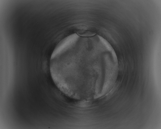 X0000100900136200807151125