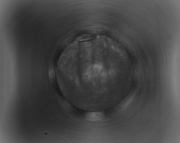 X0000100900137200807151125