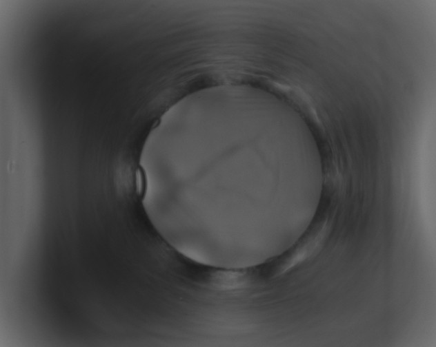 X0000100900139200807151125