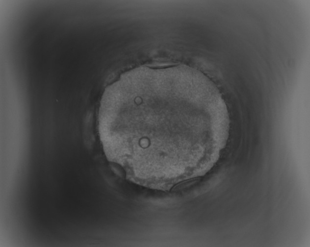 X0000100900144200807151125