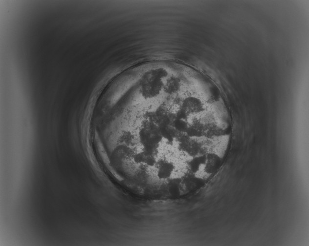 X0000100900145200807151125