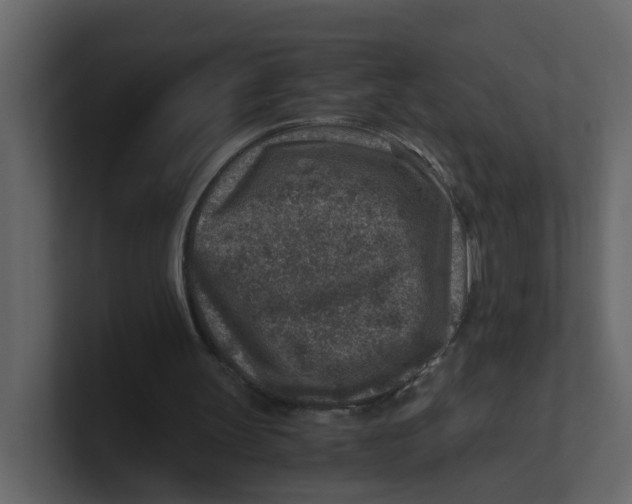 X0000100900147200807151125