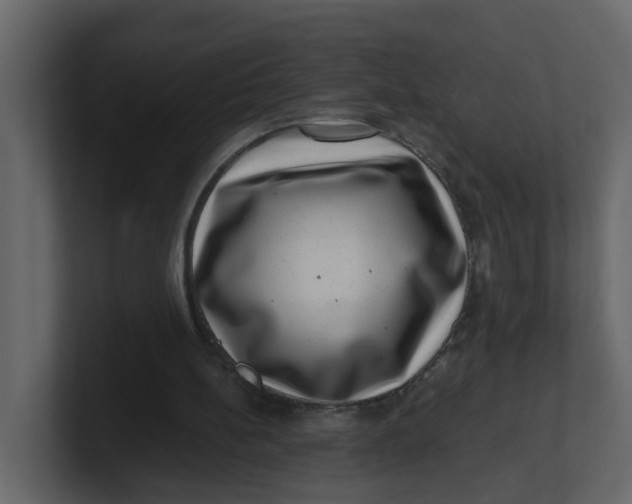 X0000100900148200807151125