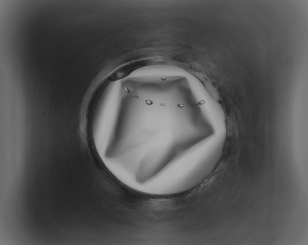 X0000100900150200807151125