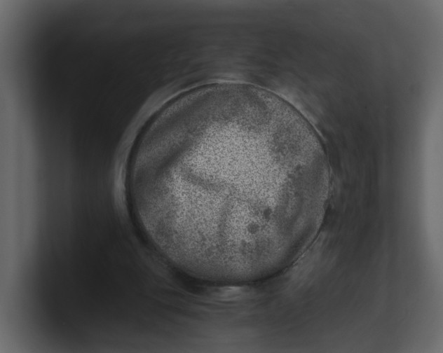 X0000100900151200807151125