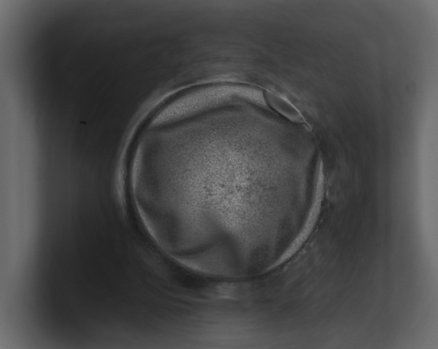 X0000100900152200807151125