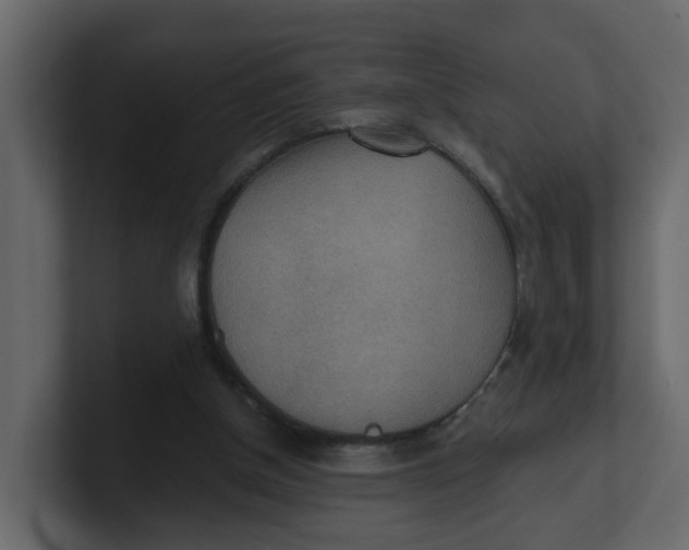 X0000100900154200807151125