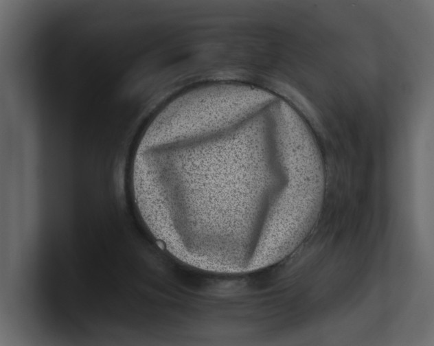 X0000100900155200807151125