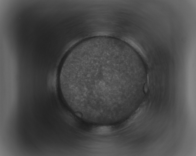 X0000100900156200807151125