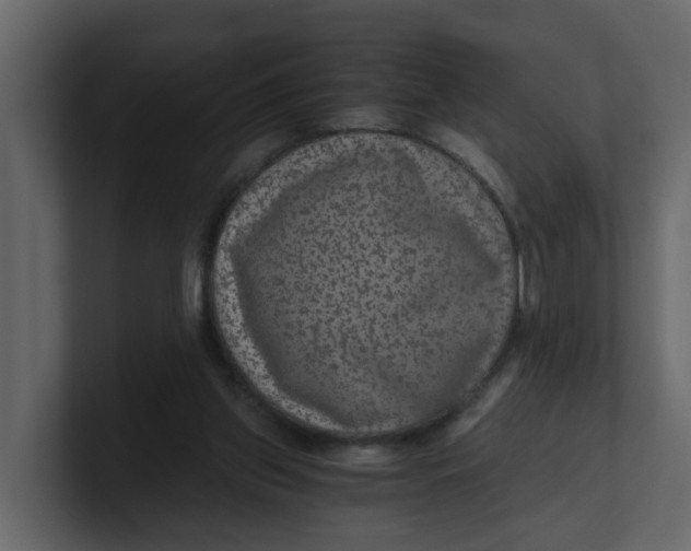 X0000100900157200807151125