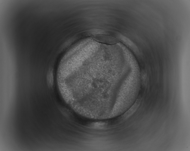 X0000100900158200807151125