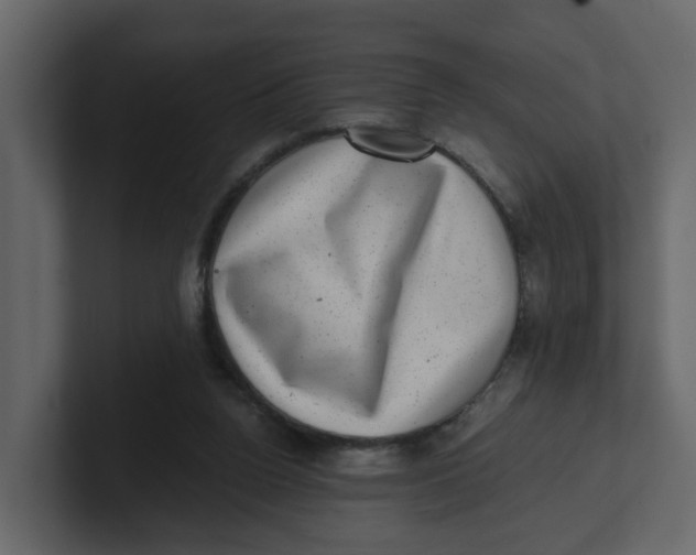 X0000100900160200807151125