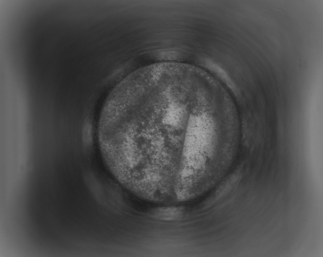 X0000100900161200807151125