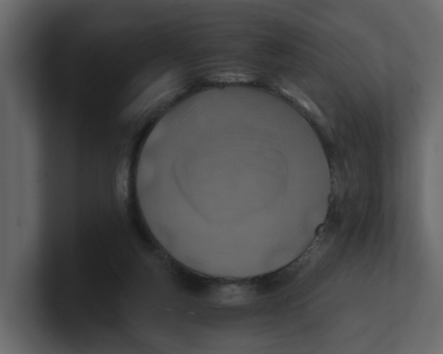 X0000100900163200807151125