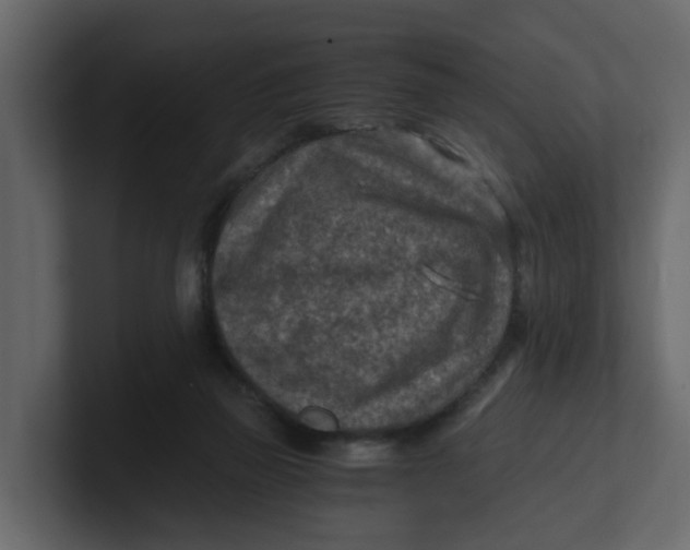 X0000100900165200807151125