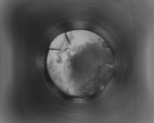 X0000100900167200807151125