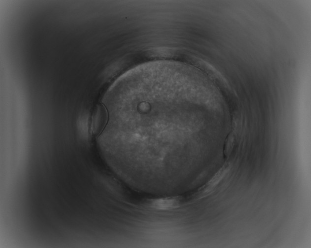 X0000100900168200807151125