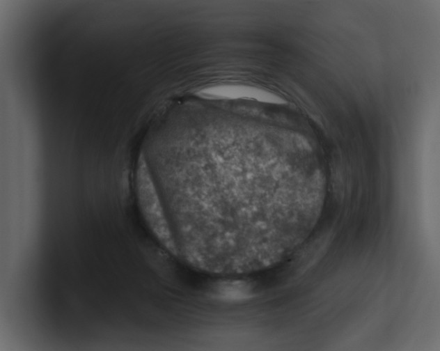 X0000100900169200807151125