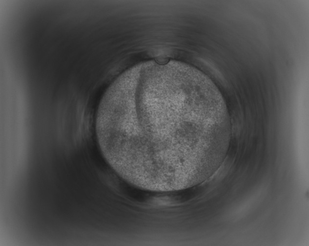 X0000100900171200807151125