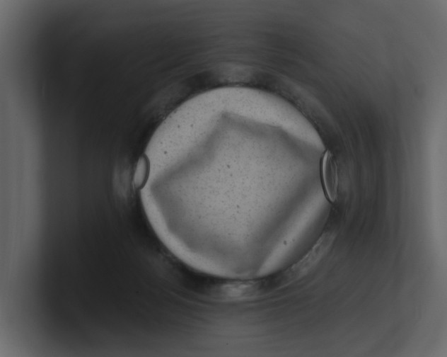 X0000100900172200807151125