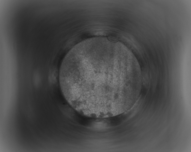 X0000100900175200807151125