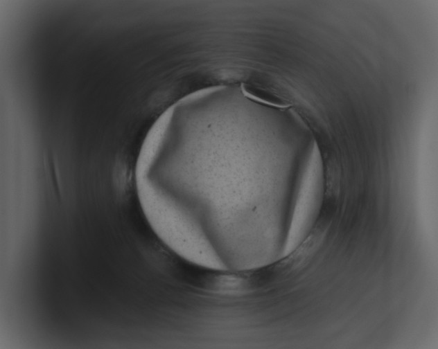 X0000100900176200807151125