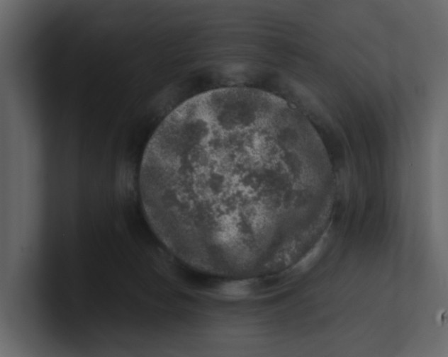 X0000100900178200807151125