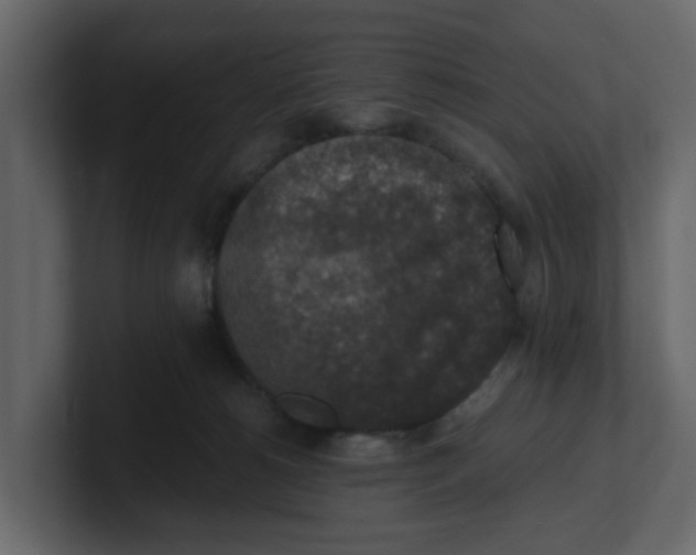 X0000100900180200807151125