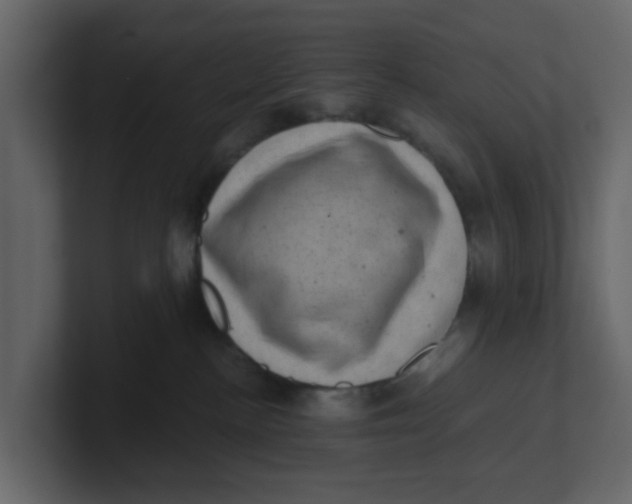 X0000100900188200807151125