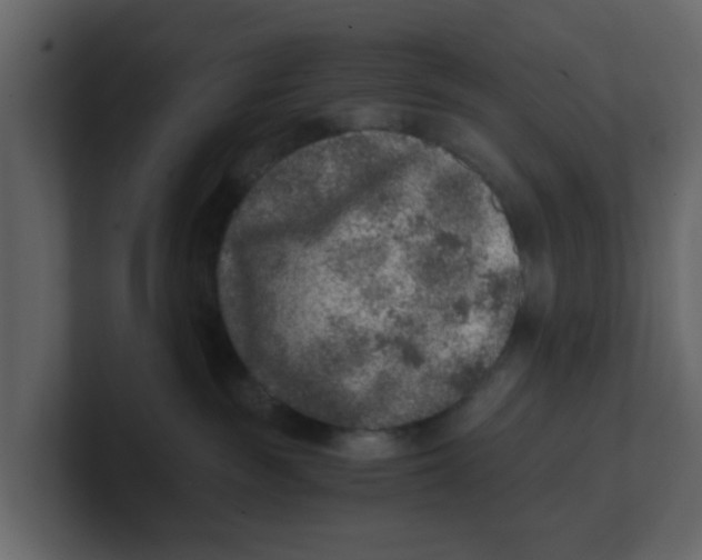 X0000100900189200807151125