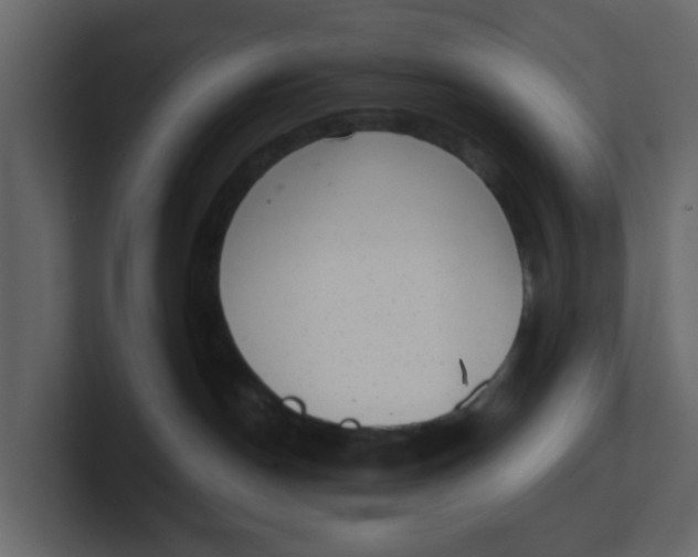 X0000100900190200807151125