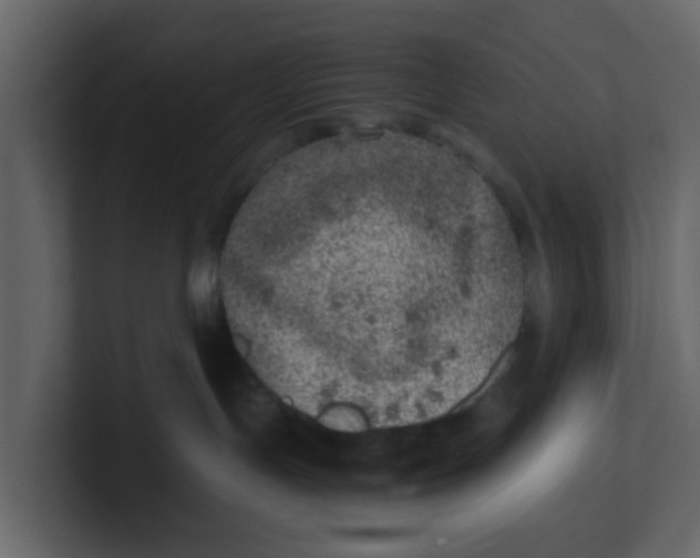 X0000100900191200807151125