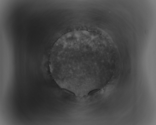 X0000100900192200807151125